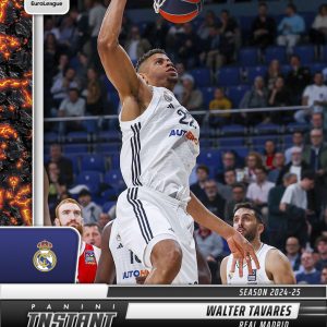 Walter Tavares - 2024-25 Panini Instant Turkish Airlines EuroLeague #22 - Magma 1/1