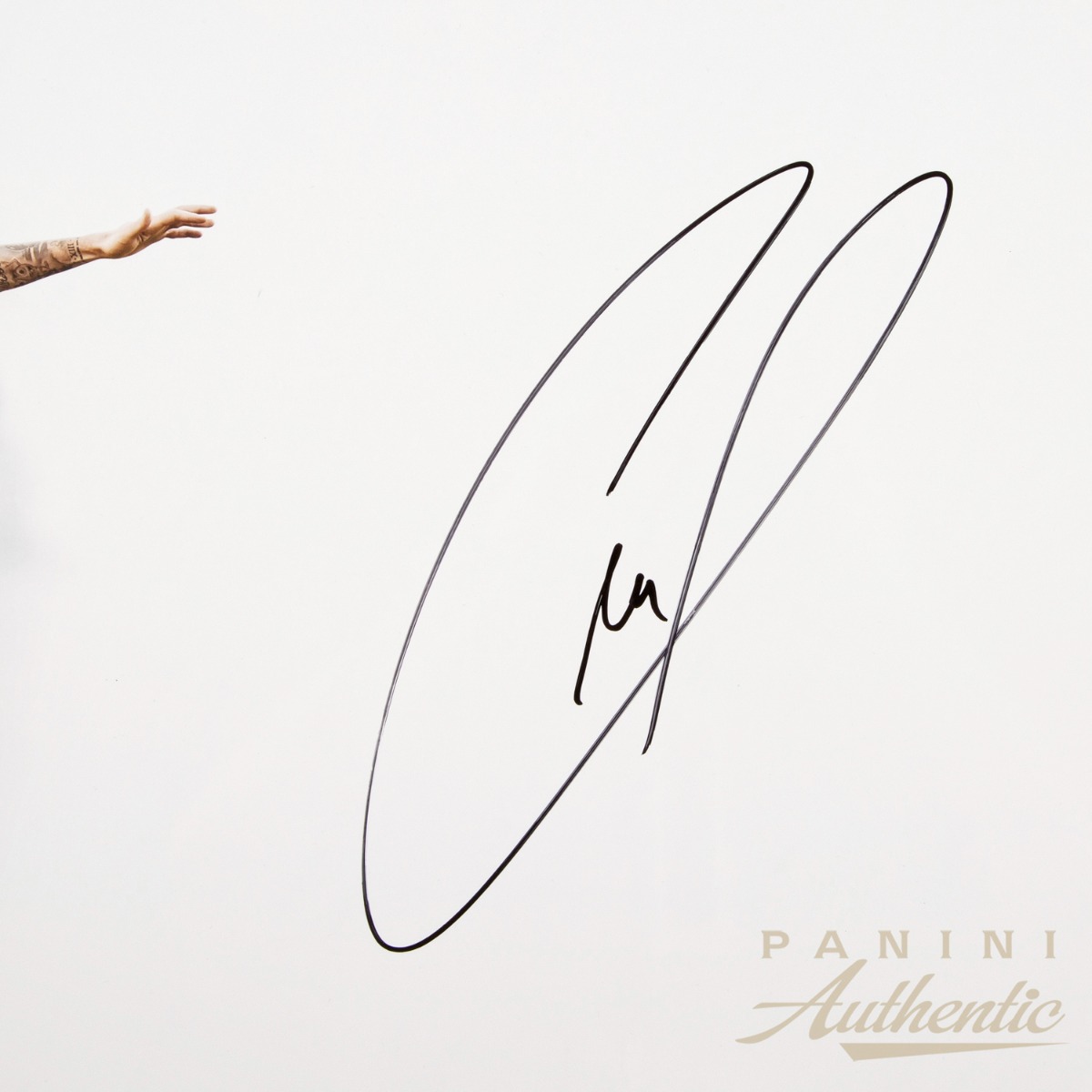 Christian Pulisic Autographed 14x28 "White Out - Stars & Stripes" Photograph ~Limited Edition to 110~ - Image 2