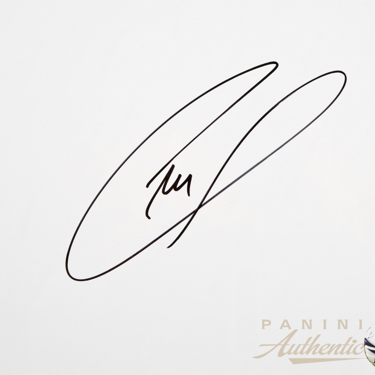 Christian Pulisic Autographed 14x28 "White Out - USA" Photograph ~Limited Edition to 110~ - Image 3