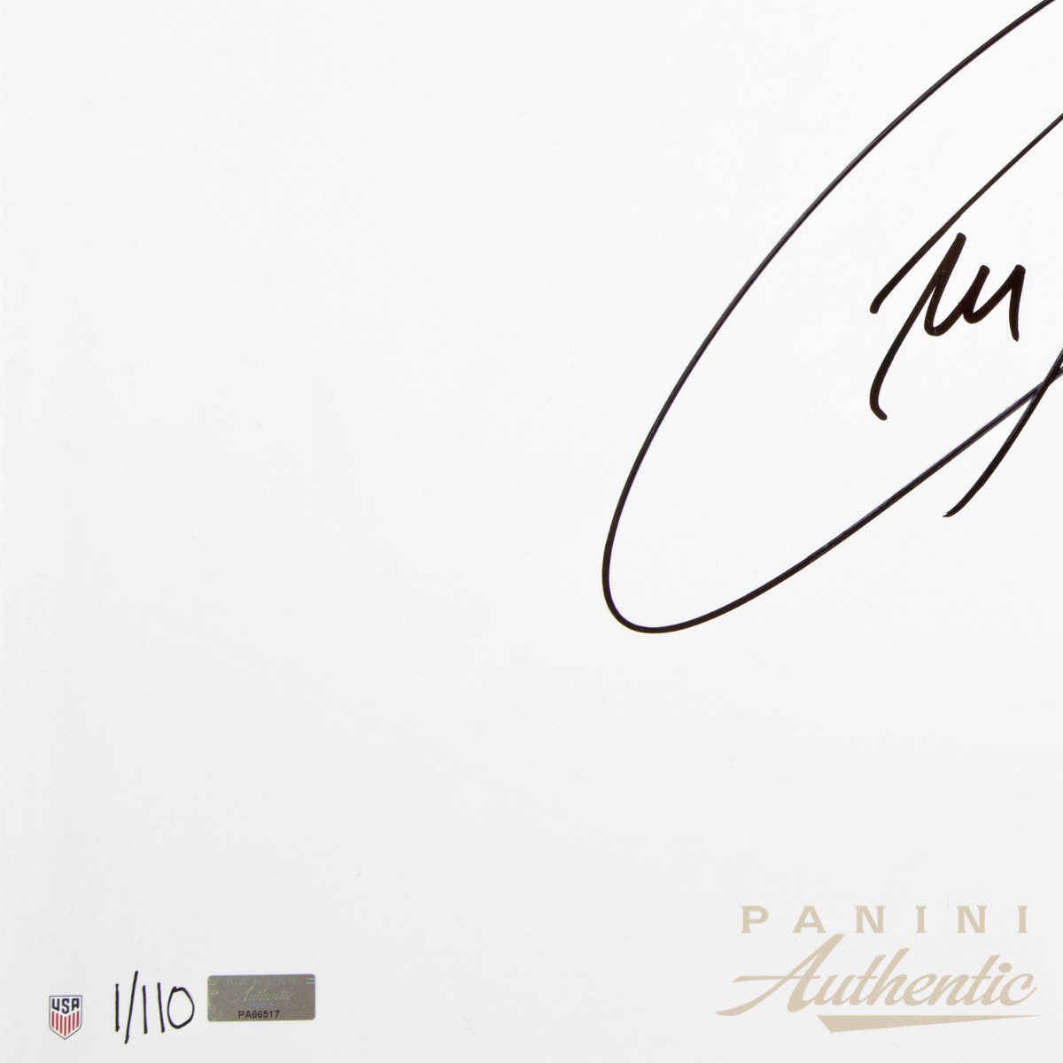 Christian Pulisic Autographed 14x28 "White Out - USA" Photograph ~Limited Edition to 110~ - Image 4