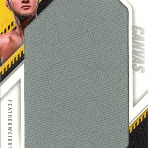 Ibragim Ibragimov - 2025 Panini Instant PFL Canvas /10